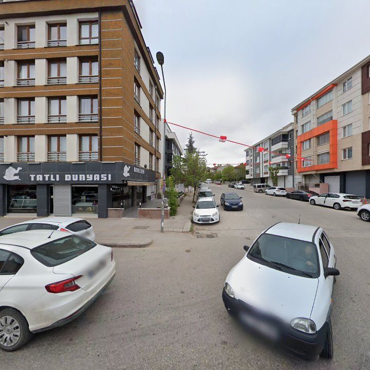 Fotoğraf 10