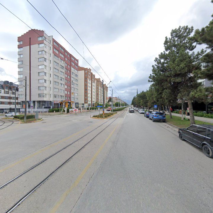 Fotoğraf 11