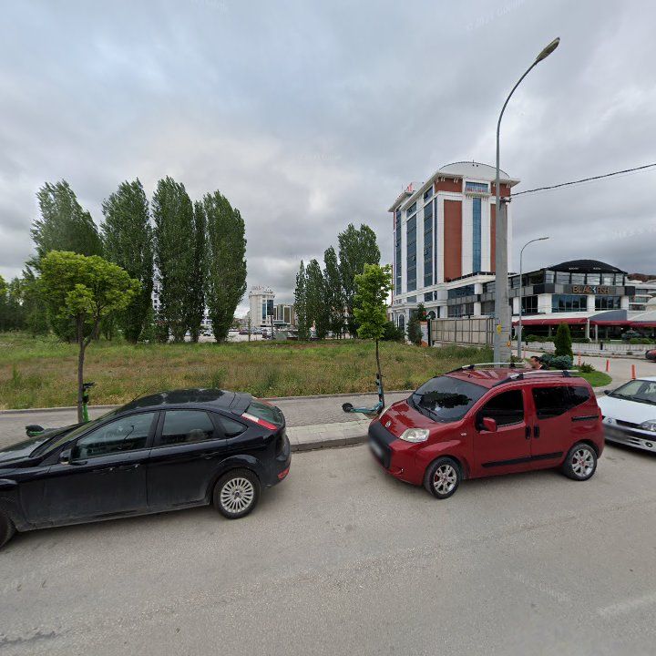 Fotoğraf 10