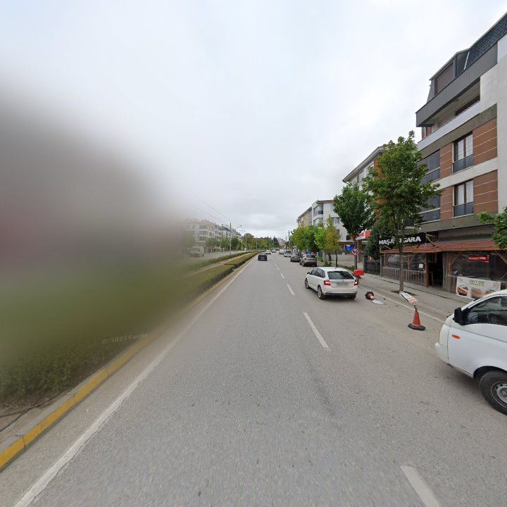 Fotoğraf 11