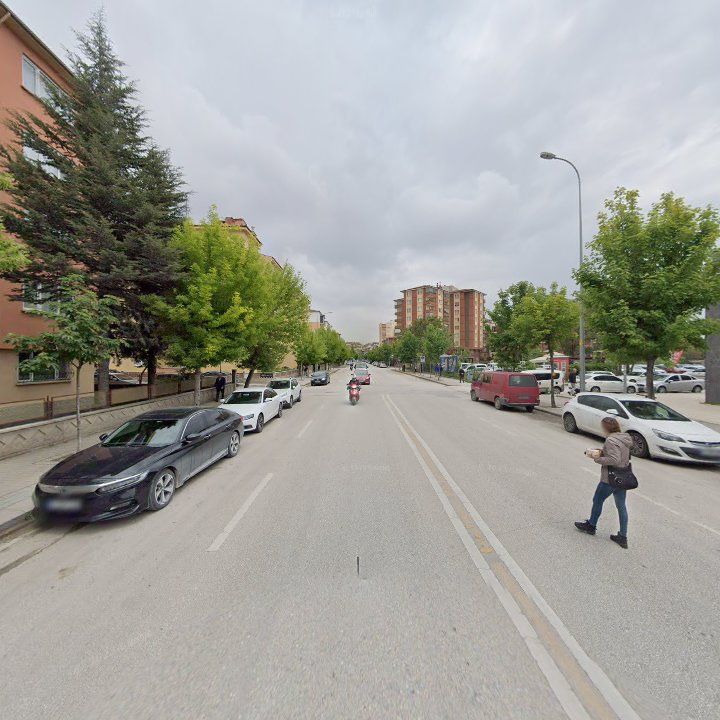 Fotoğraf 14