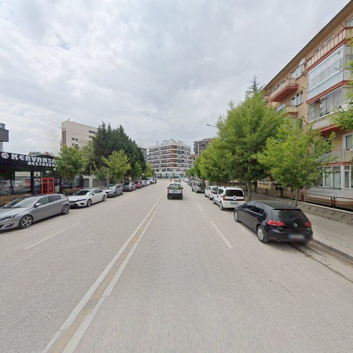 Fotoğraf 12
