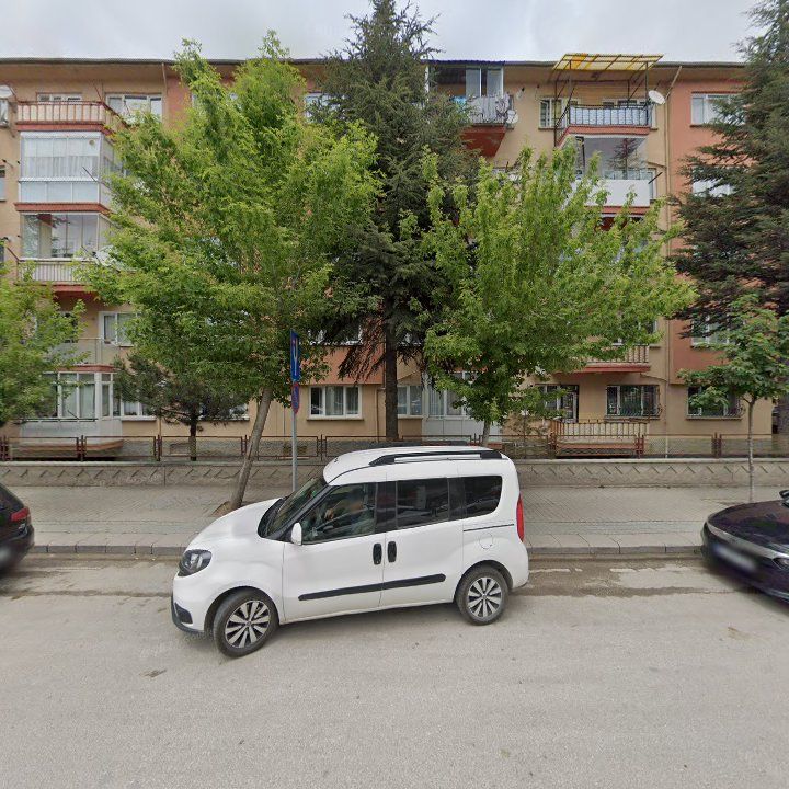 Fotoğraf 13