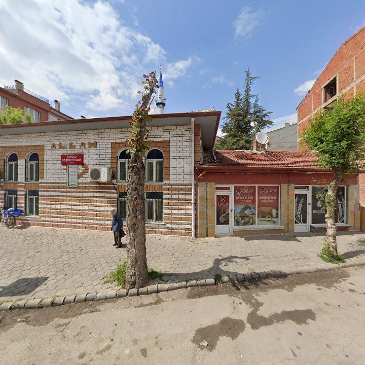 Fotoğraf 7