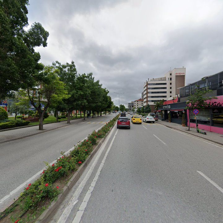 Fotoğraf 8