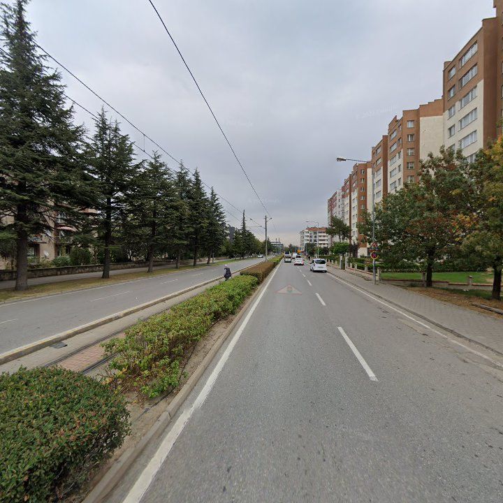 Fotoğraf 11
