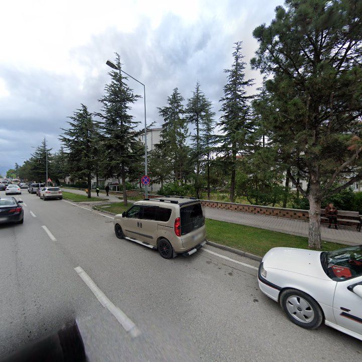 Fotoğraf 10