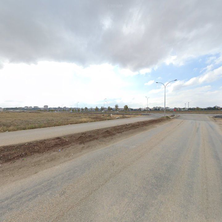 Fotoğraf 12