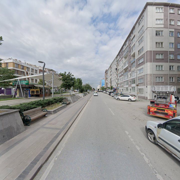 Fotoğraf 7
