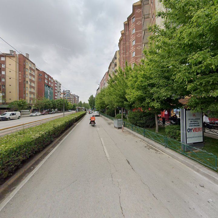 Fotoğraf 11