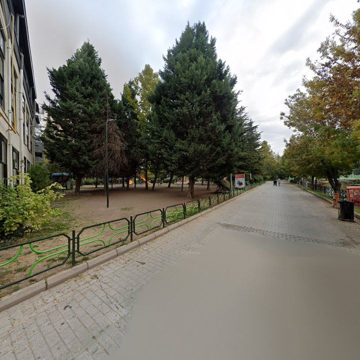 Fotoğraf 11