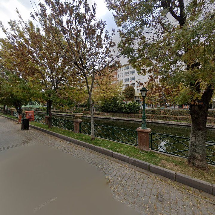 Fotoğraf 12
