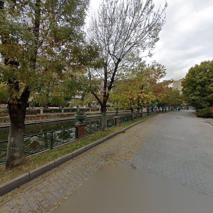 Fotoğraf 13