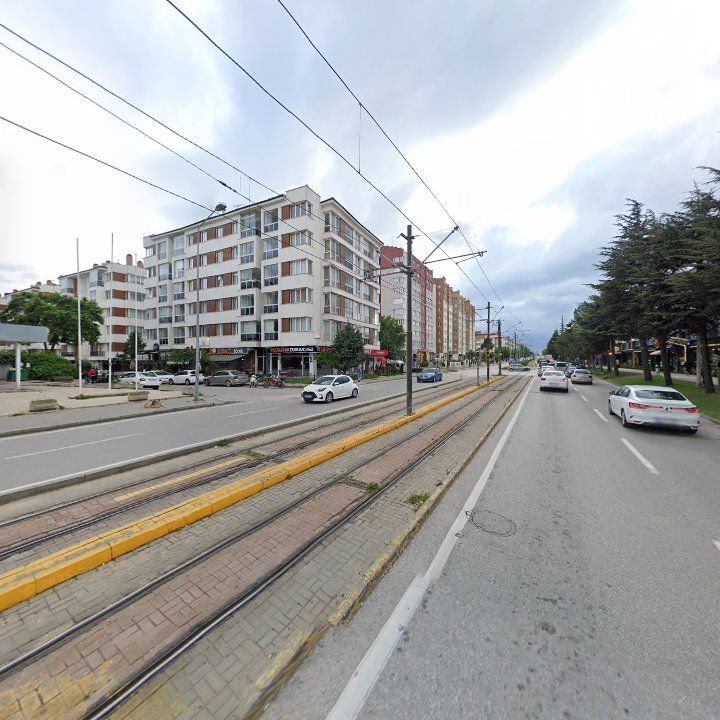 Fotoğraf 12