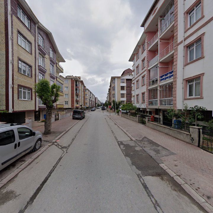 Fotoğraf 6