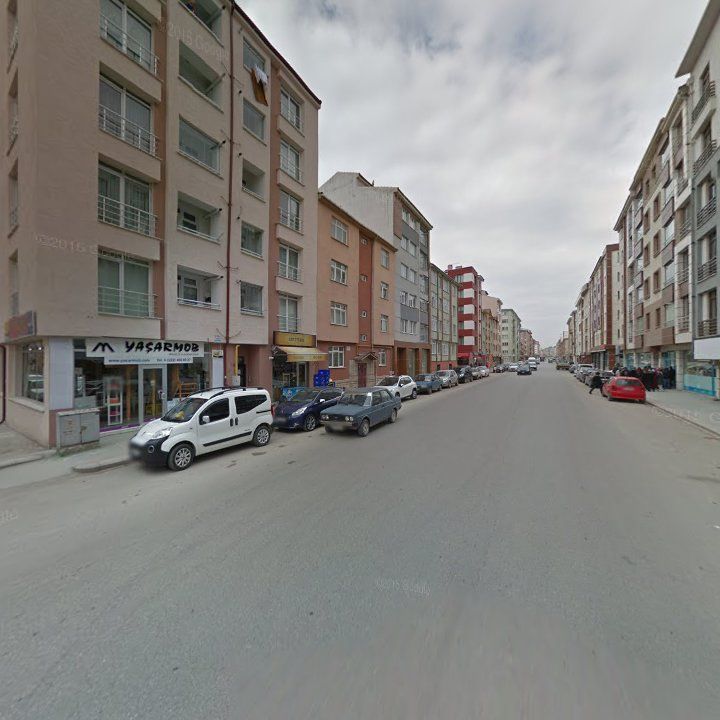 Fotoğraf 11