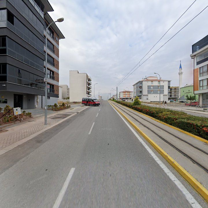 Fotoğraf 10