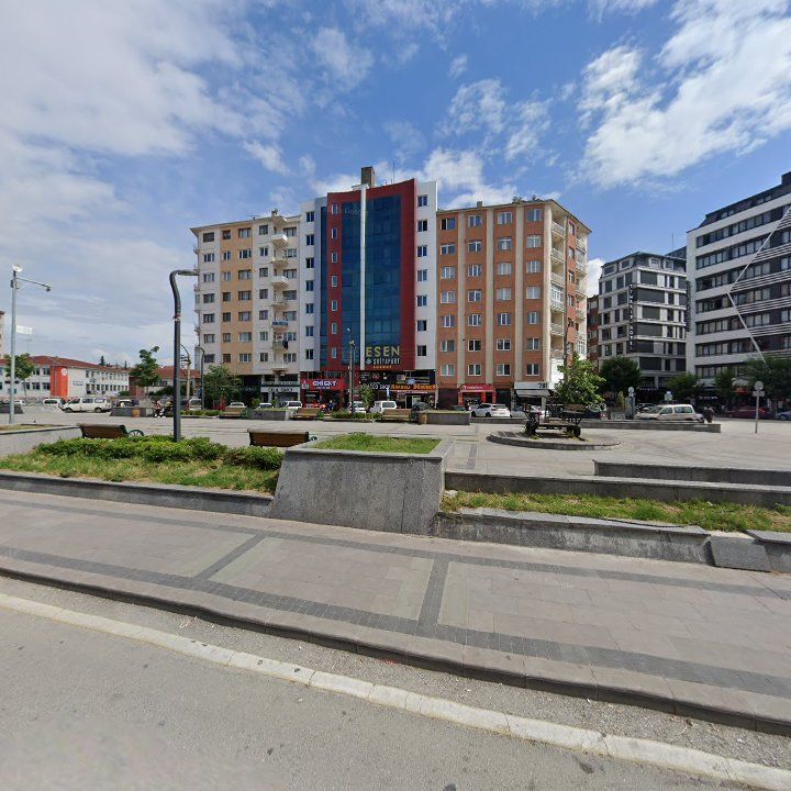 Fotoğraf 12