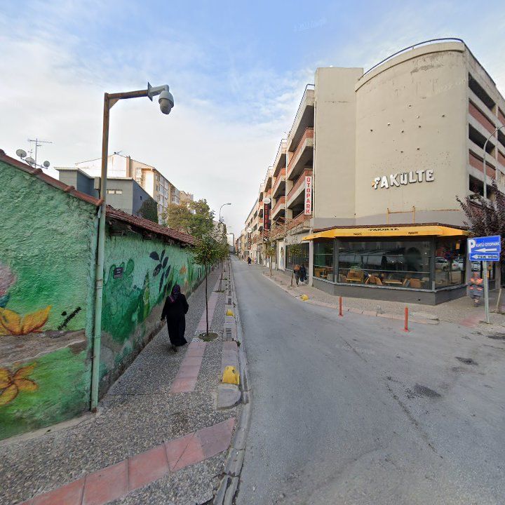 Fotoğraf 9