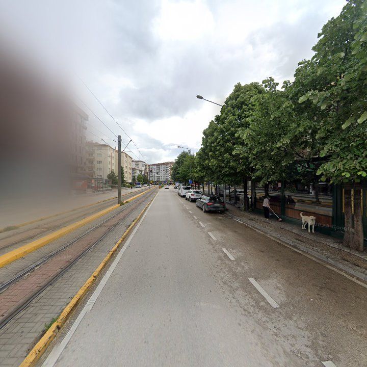 Fotoğraf 19