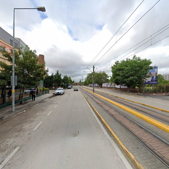 Fotoğraf 17