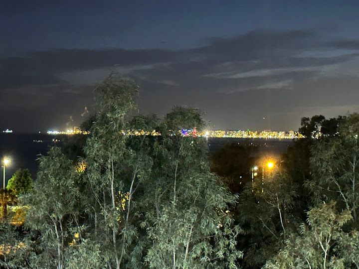 Fotoğraf 27