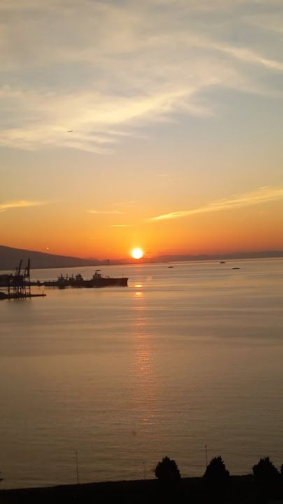 Fotoğraf 42