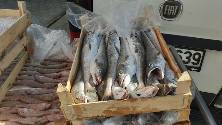 Fotoğraf 28