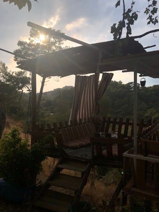 Fotoğraf 20
