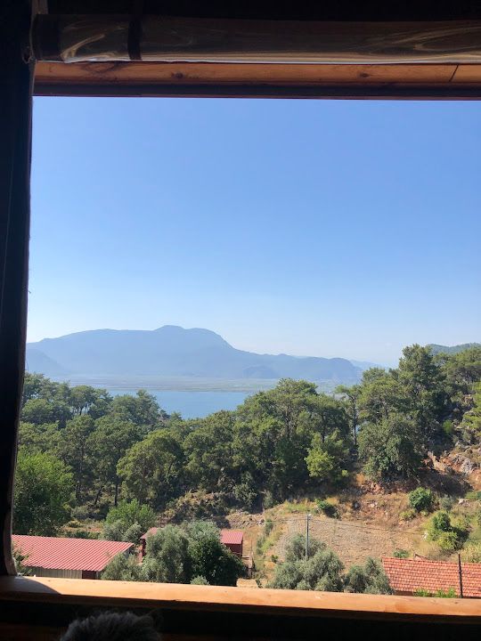 Fotoğraf 44