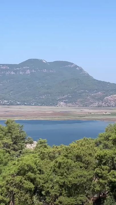 Fotoğraf 45