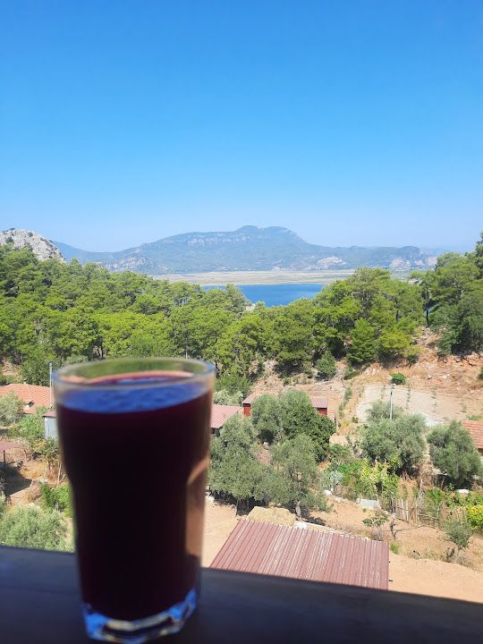 Fotoğraf 46