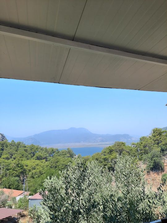 Fotoğraf 43