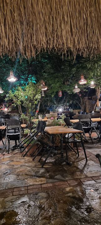 Fotoğraf 53