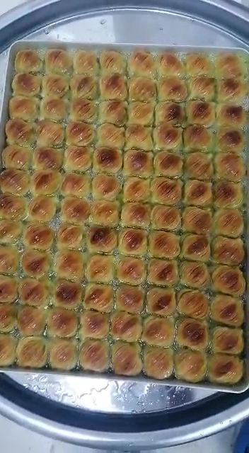 Fotoğraf 16