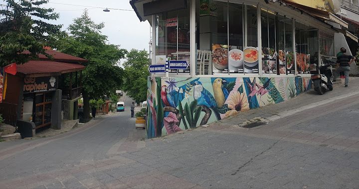 Fotoğraf 8