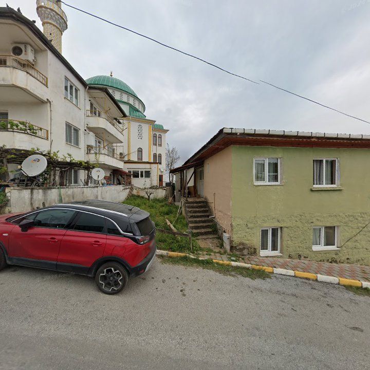 Fotoğraf 9