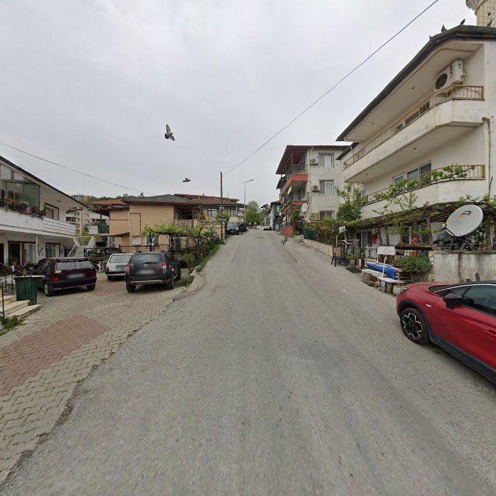 Fotoğraf 8