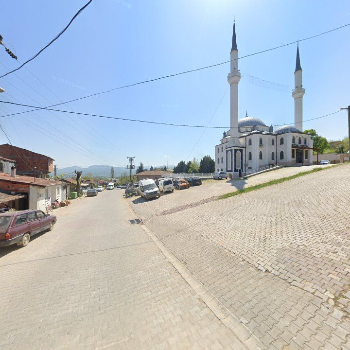 Fotoğraf 10