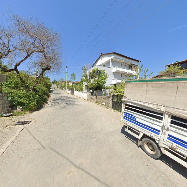 Fotoğraf 8