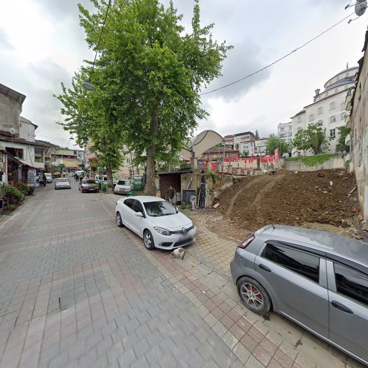 Fotoğraf 7