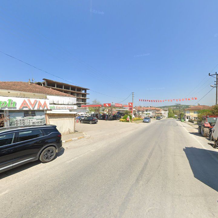 Fotoğraf 6