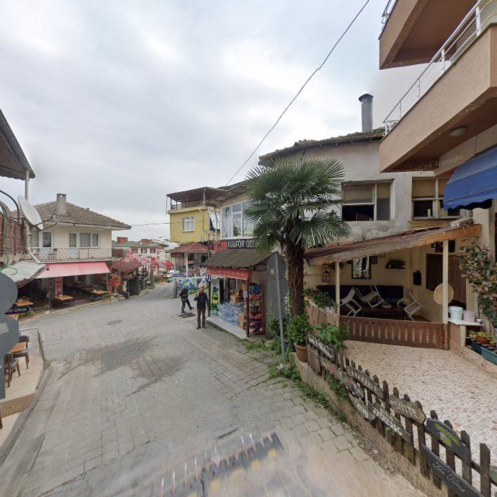 Fotoğraf 10