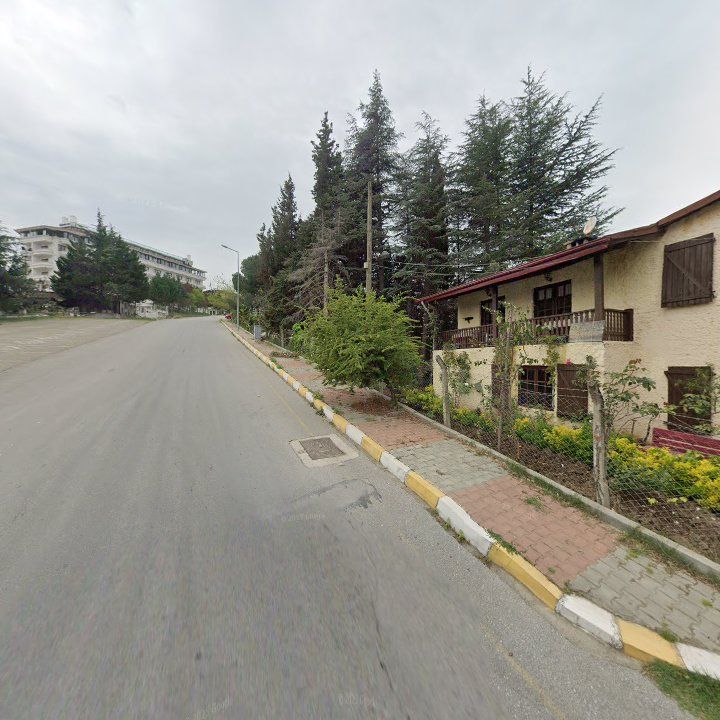 Fotoğraf 12