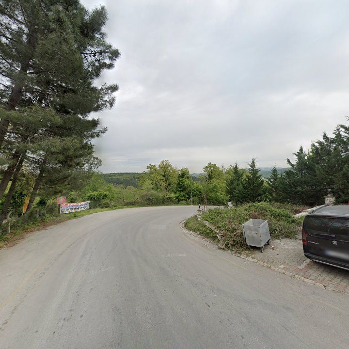 Fotoğraf 10