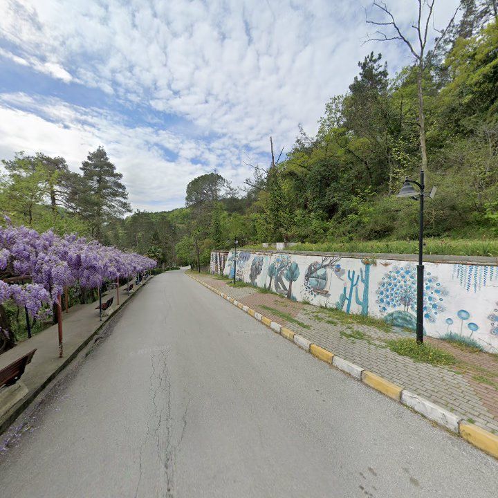 Fotoğraf 10
