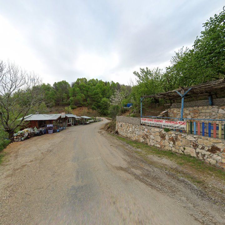 Fotoğraf 9