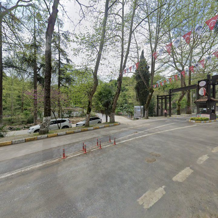 Fotoğraf 9