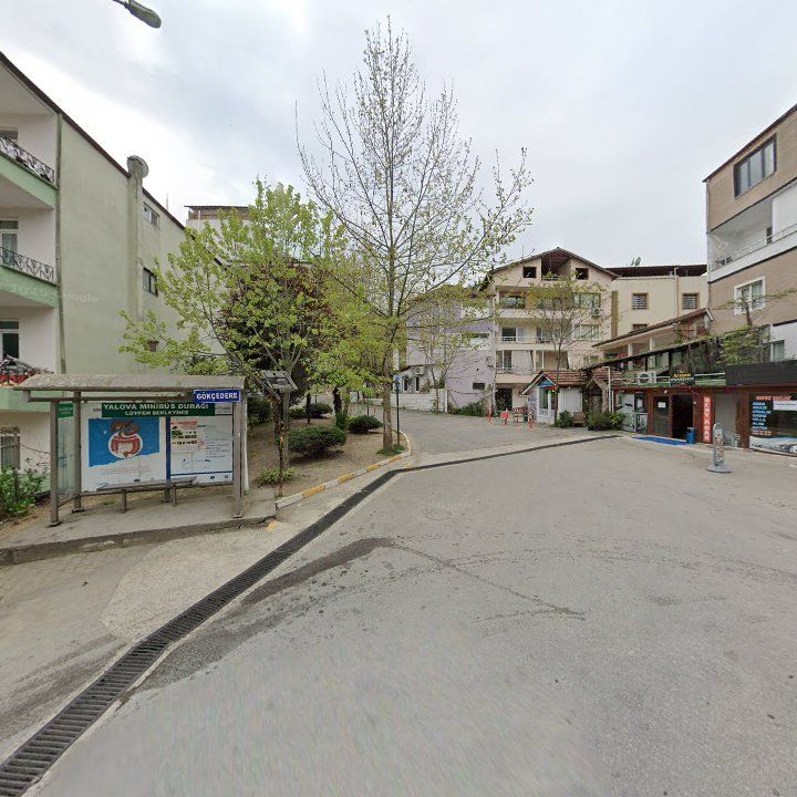Fotoğraf 9