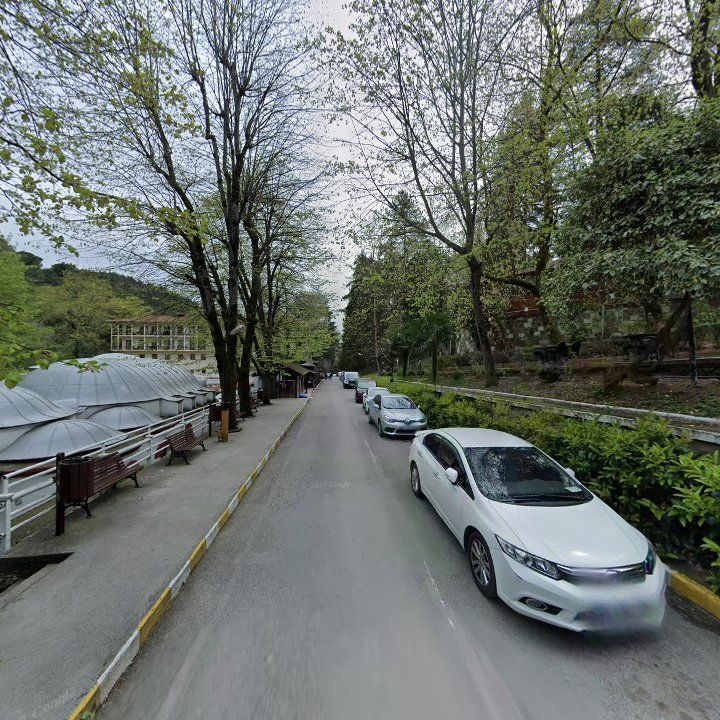 Fotoğraf 11